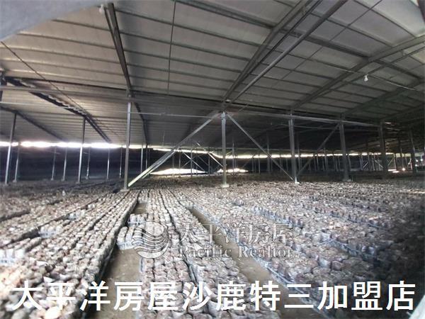 南投魚池農舍-4