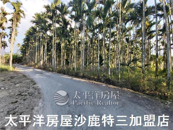 南投魚池農舍-8