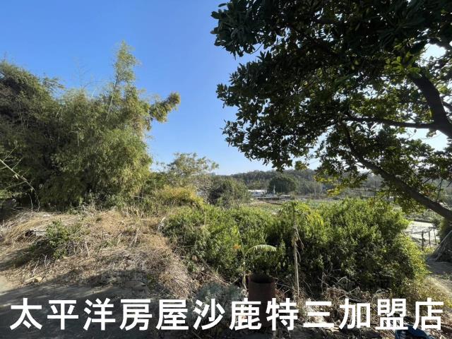 沙鹿建地-1