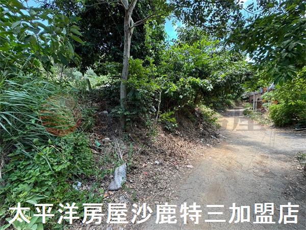 龍井農地-3