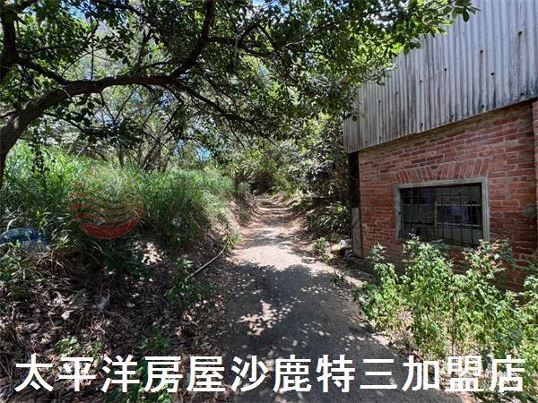 龍井農地-4