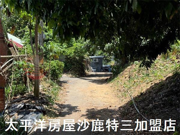 龍井農地-5