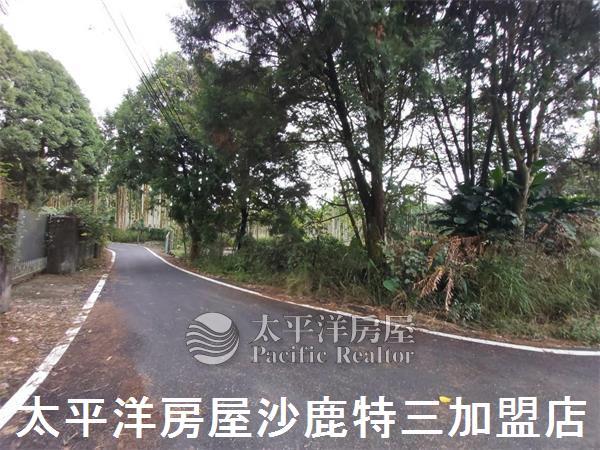 南投山坡地-9