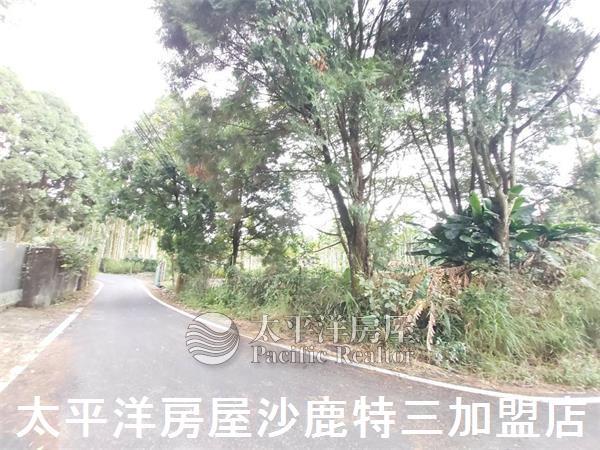 南投山坡地-1