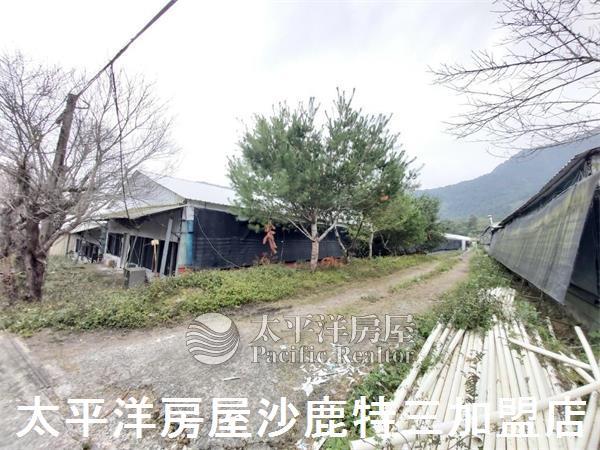 南投山坡地-2