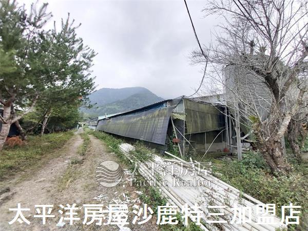 南投山坡地-5