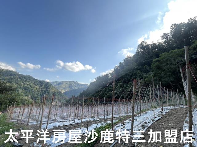 台中和平農地-1