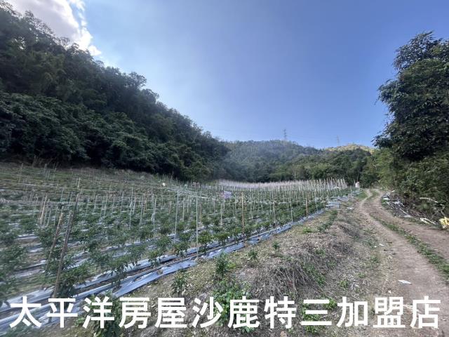 台中和平農地-2