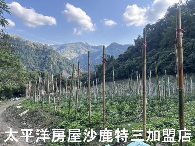 台中和平農地-4