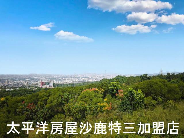 沙鹿保育區-2