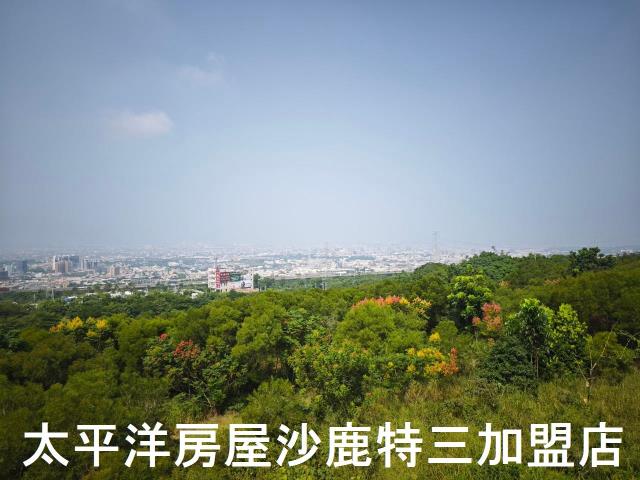 沙鹿保育區-3