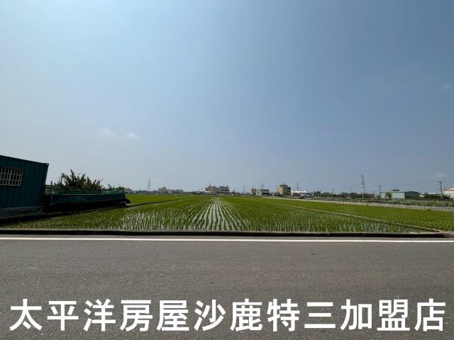 龍井農地-1