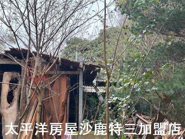 台中保護區-4