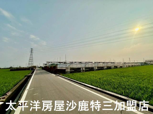 大肚農地-4