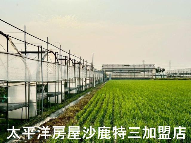 大肚農地-5
