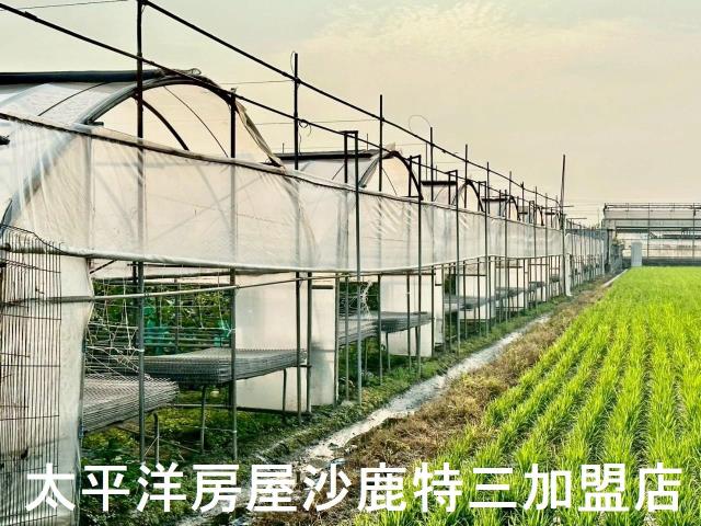 大肚農地-6