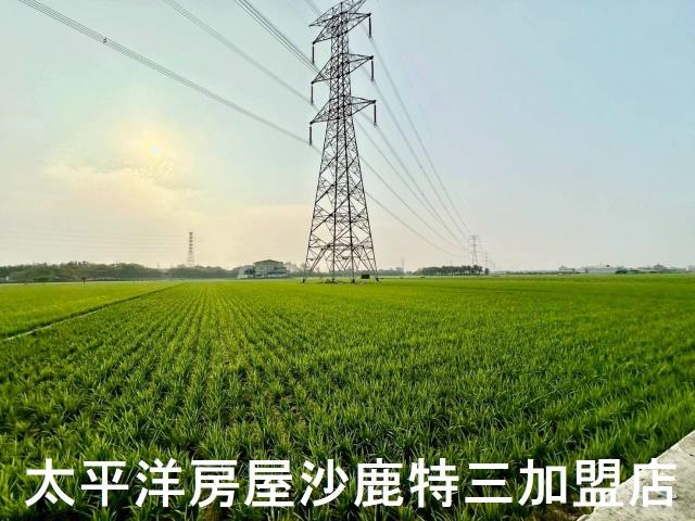 大肚農地-1
