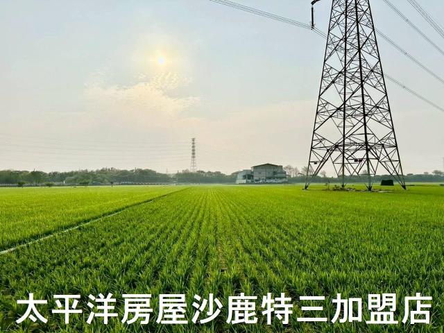 大肚農地-2