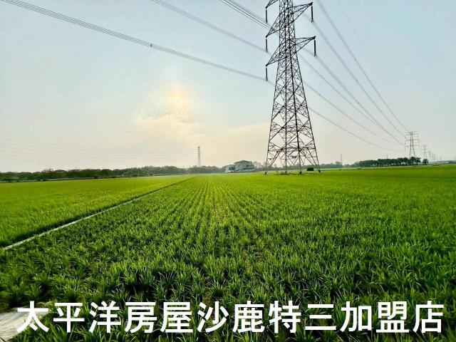 大肚農地-3