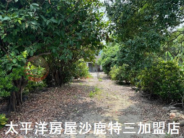清水農地-2