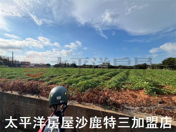 清水農地-1