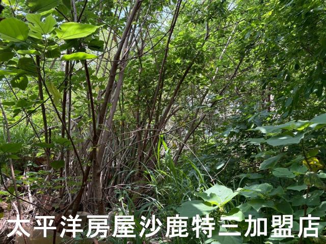 沙鹿建地-0