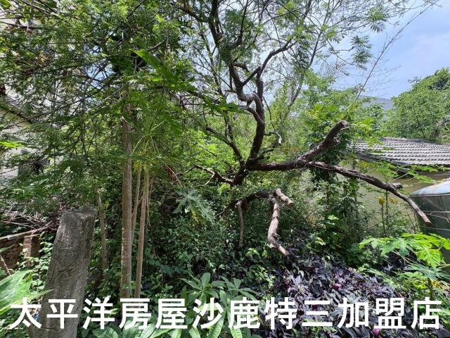 沙鹿建地-3