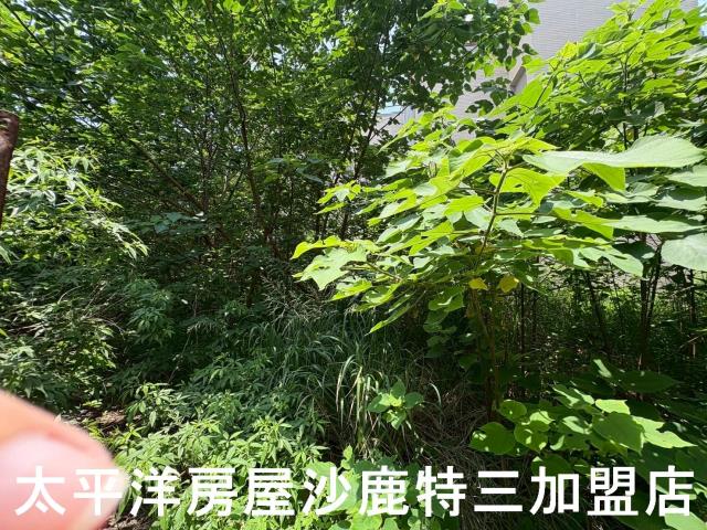 沙鹿建地-4