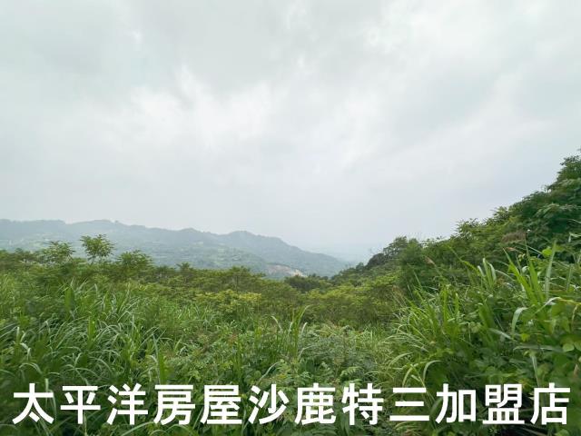 中寮山坡地-0