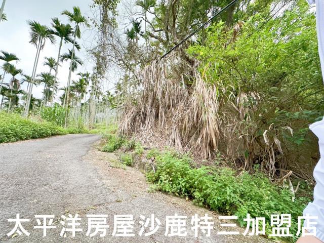 中寮山坡地-1