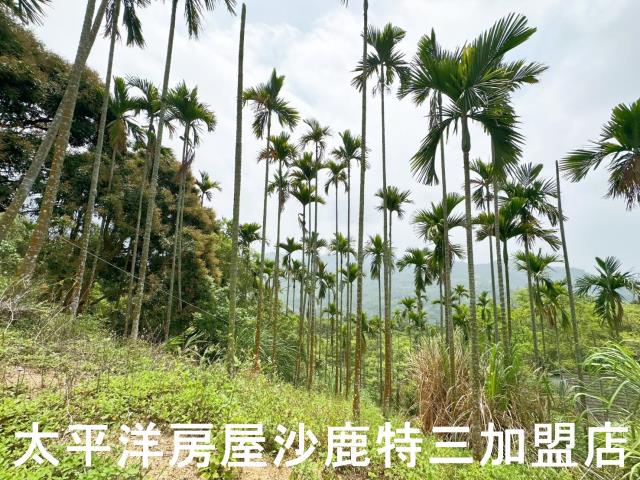 中寮山坡地-3