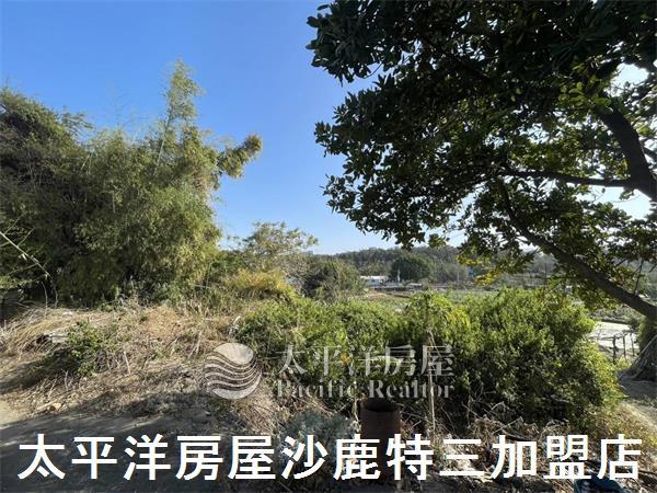 台中沙鹿建地-2
