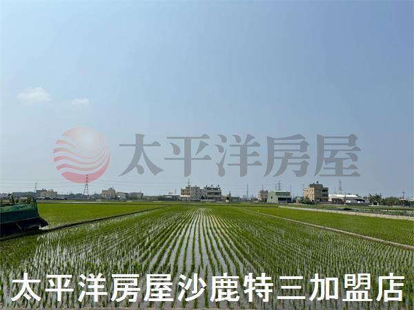 台中龍井農地-1