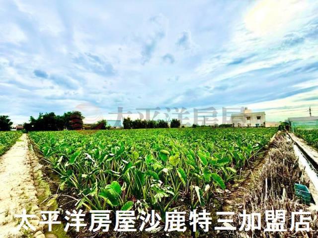 台中大甲農地-0