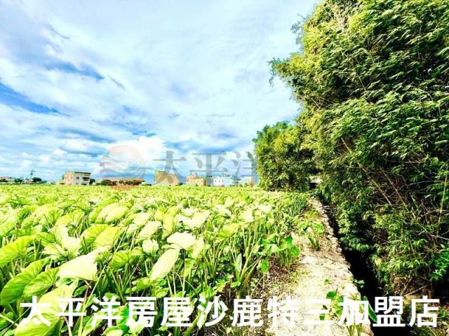 台中大甲農地-2