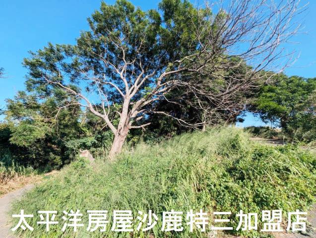 台中沙鹿保護地-1