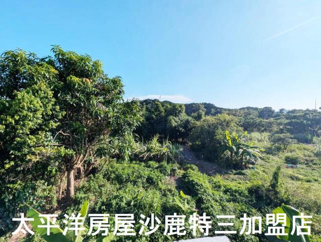 台中沙鹿建地-2